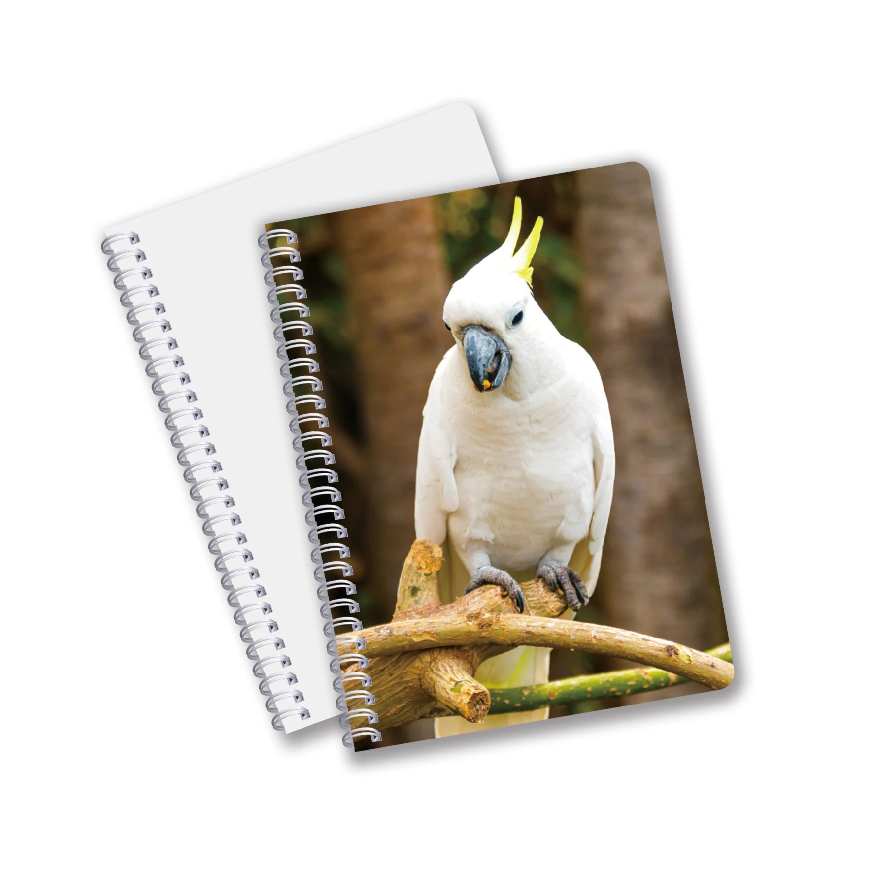 Канцелярские товары дневник тетради формата А4 3D чешуйчатая Обложка знаменитых видов