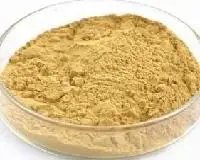 Natural Pure Dried Ginger Root Extract Powder Gingerol/plant extract