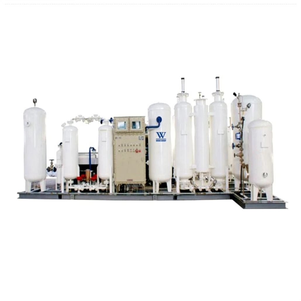 High Quality PSA Liquid Nitrogen Generator Laboratory Application 8L-2400L/Day Liquid Nitrogen Unit for Freezing