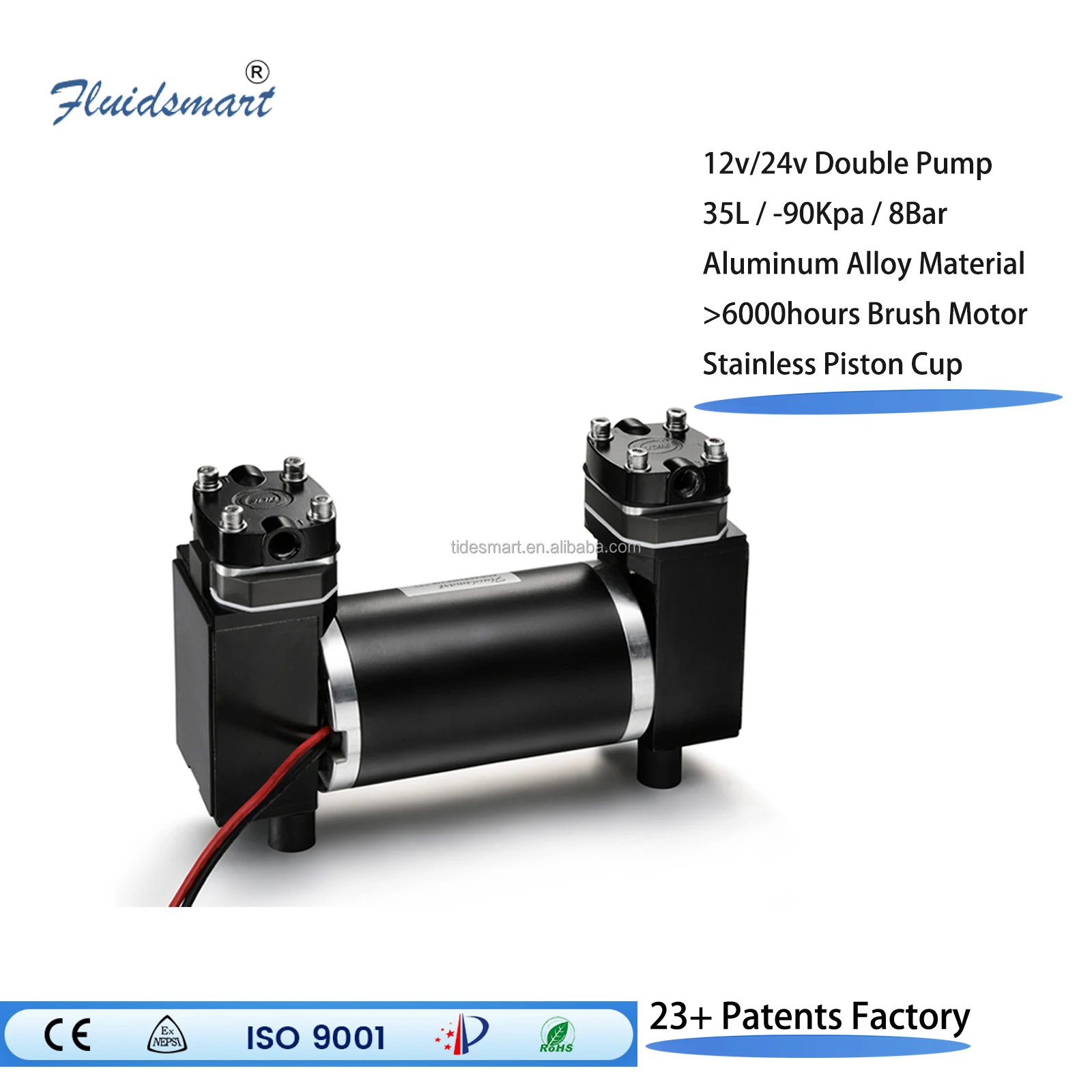 ARP12DC24P high pressure stainless piston pump 30L/min oilless rocking piston pump 24v double piston vacuum pump