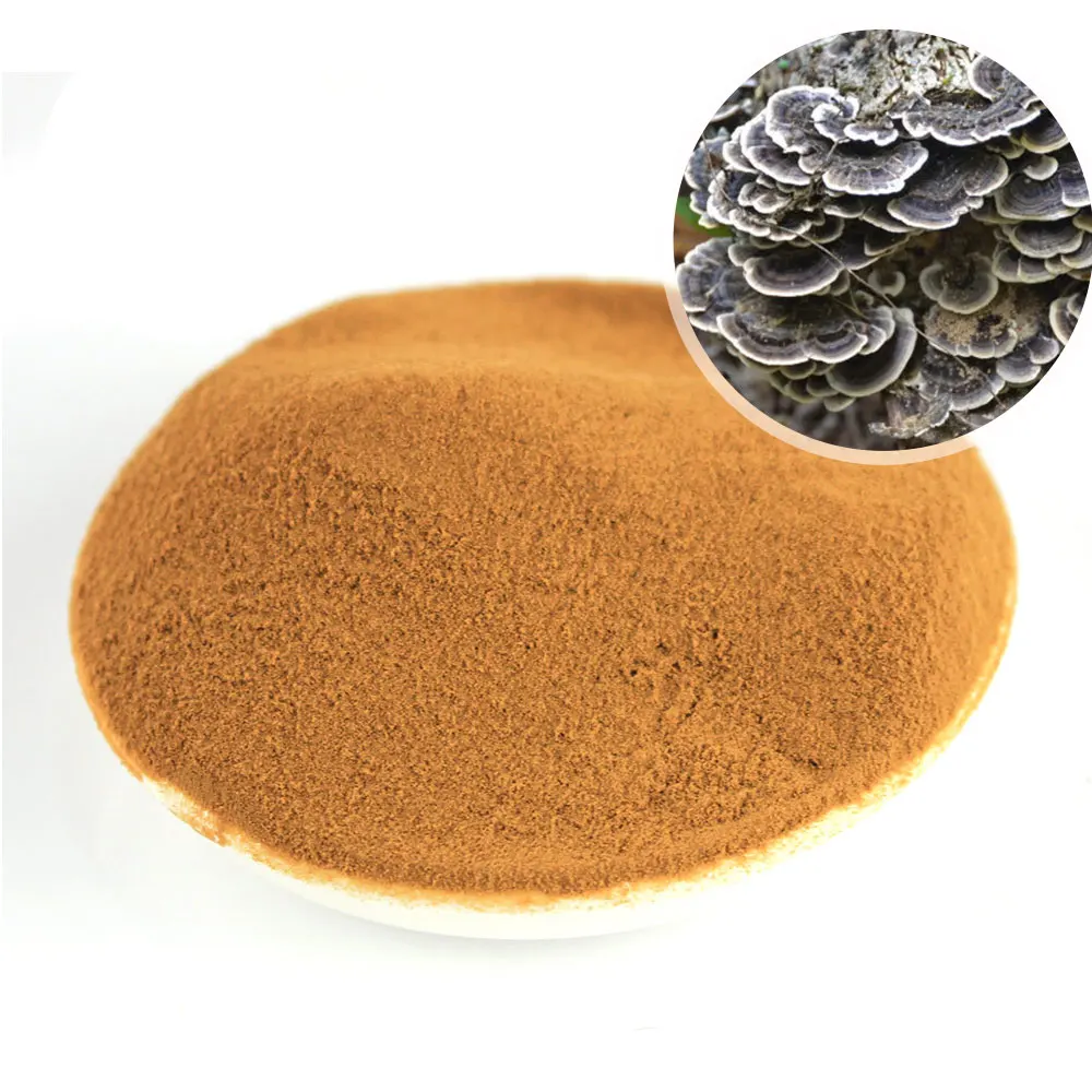 Herbal supplements  Turkey Tail Extract Powder