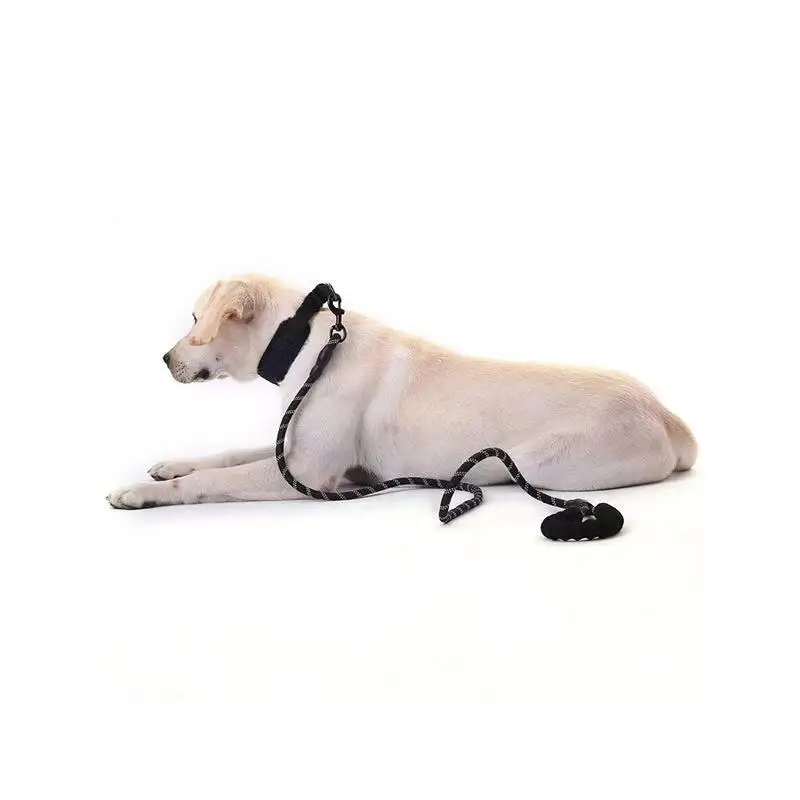Large Running Reflective Strong Dog Leash with Comfortable Padded Handle Nylon Rope Pet Dog Leash