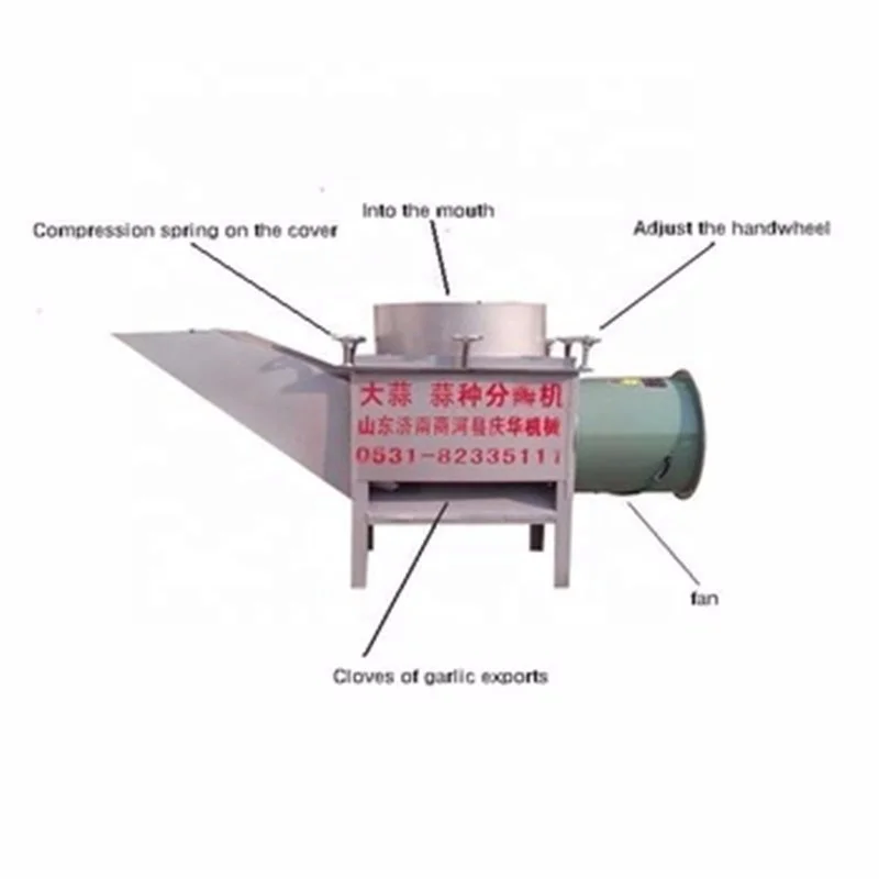 utomatic garlic processing line