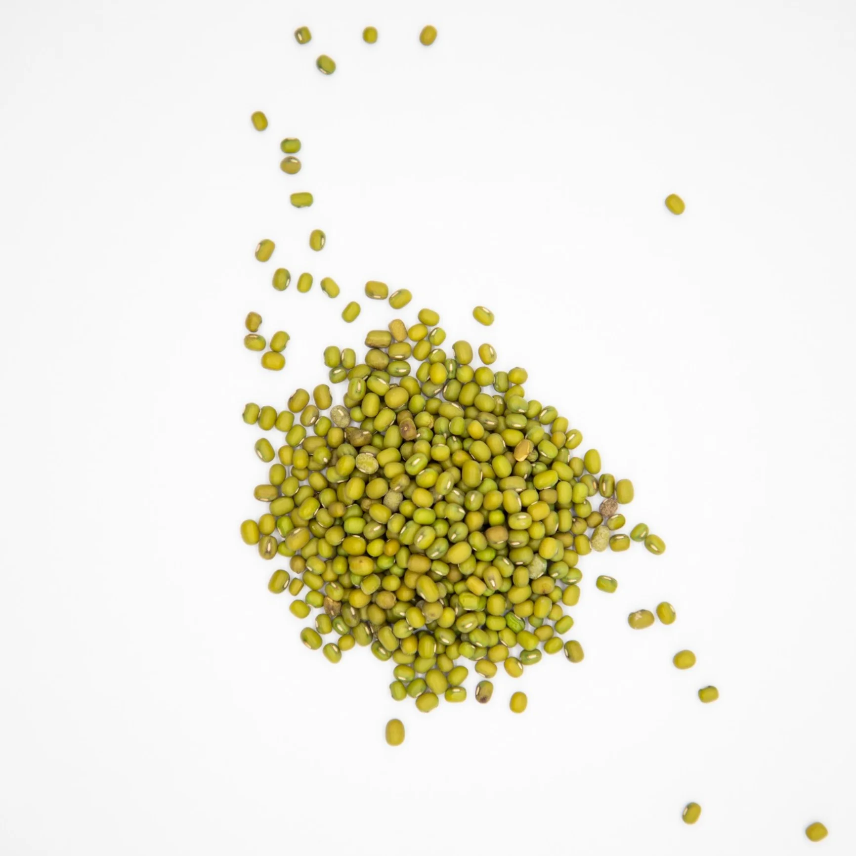 Organic green mung beans 100% natural high grade vigna beans for sprouting from Uzbekistan manufacturer