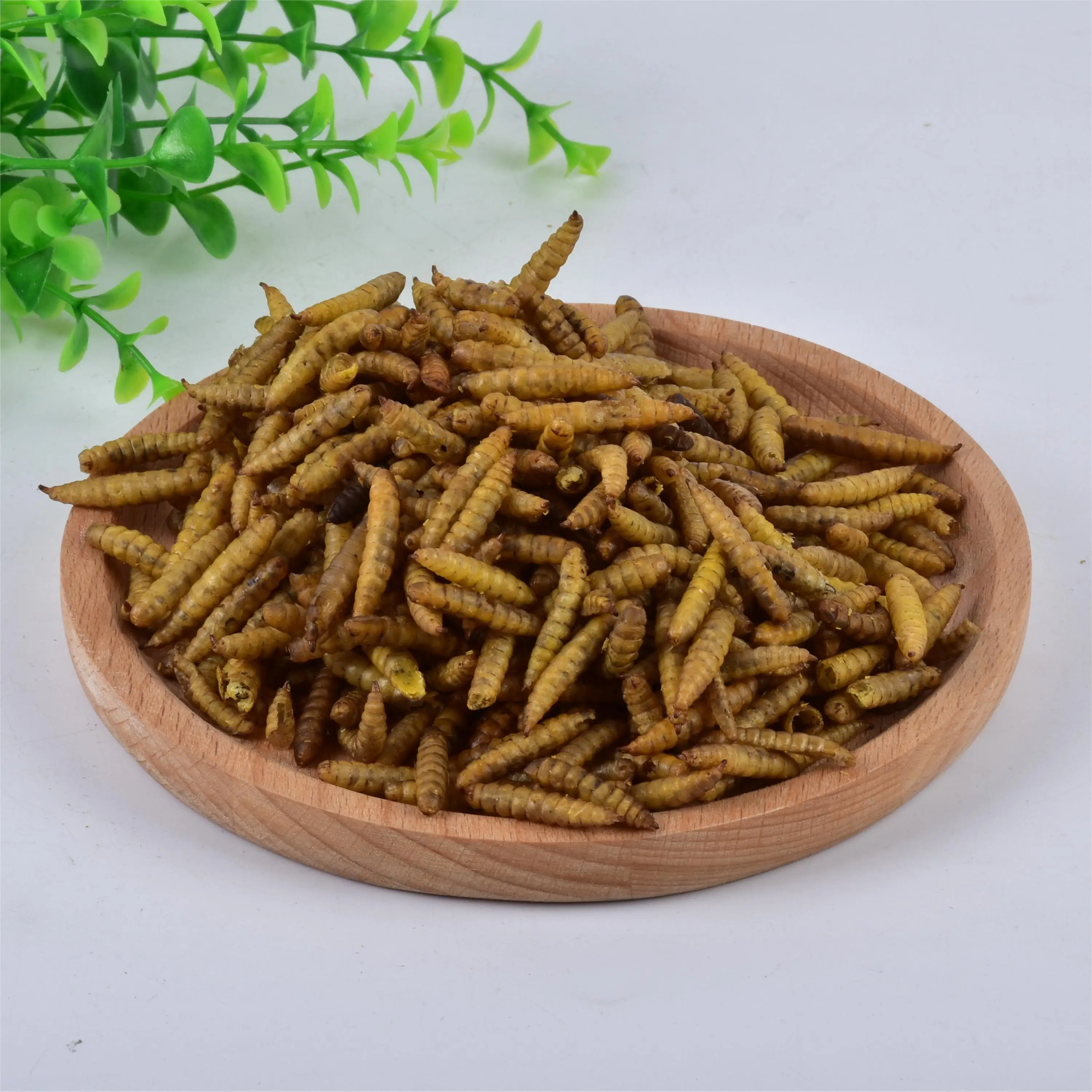 SC-L08 80LB Animal nutrition Birds/Poultry/Reptiles Feeding Dried Black Soldier Fly Larvae
