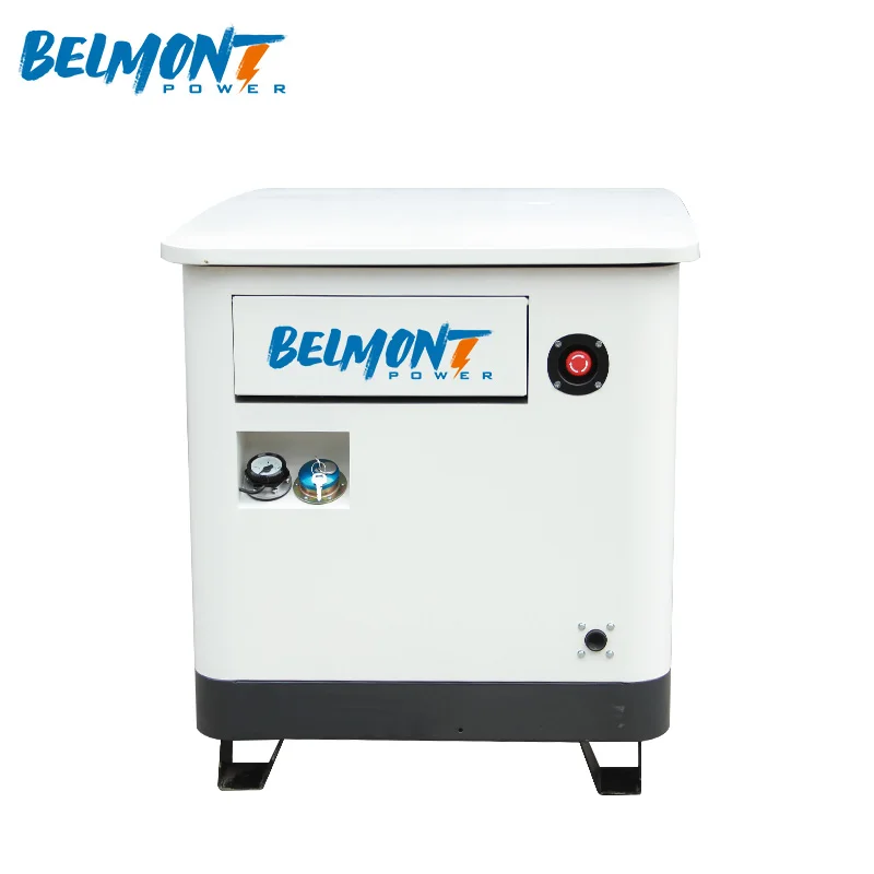 7kw 8kw 14kw 15kw 17.5kv 20kw 22kw 23kw Air Cooled LPG Home Natural lpg generator 10kw Gas Generator for Whole House