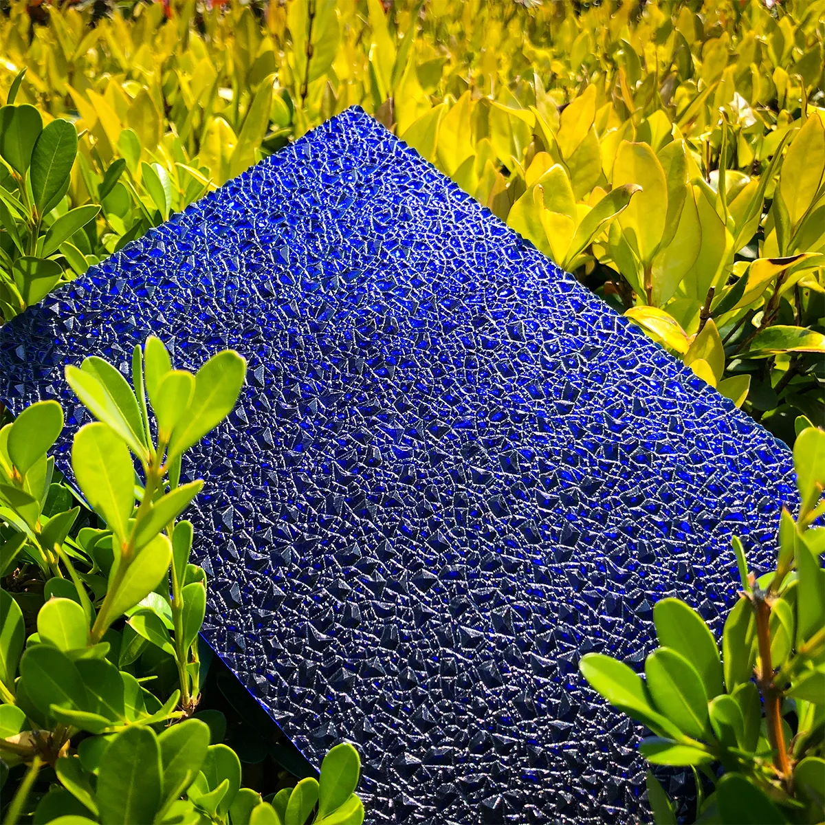 China Lexan 1mm Clear Transparent PC Embossed Polycarbonate Solid Policarbonato Sheet Roll