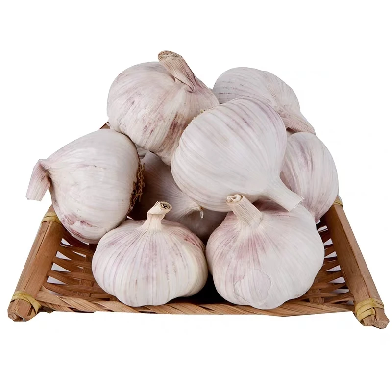 
Wholesale China New Crop White Ginger And 1kg Price Chinese Fresh Solo Garlic Cloves 