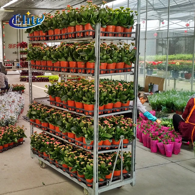 Plant transport trolleys flower pot carts hand trolley manufactures Cc Container Danish Trolley