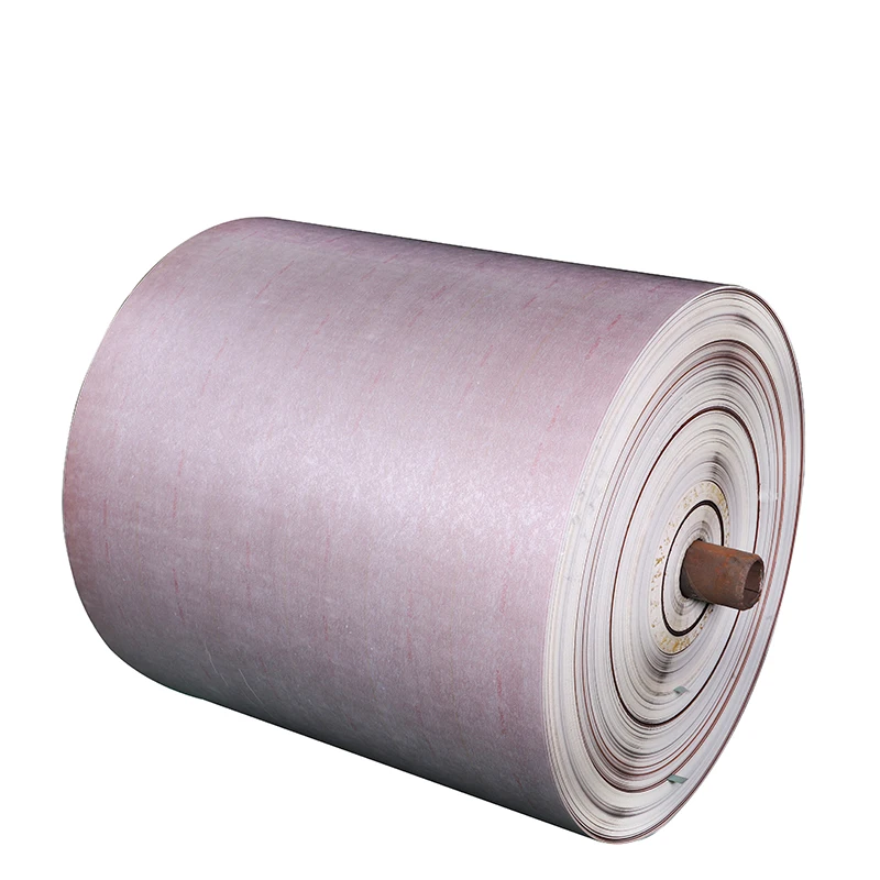 Polyester Film Composite 6650 insulation paper Class H NHN Nomex Paper For Motors Transformers