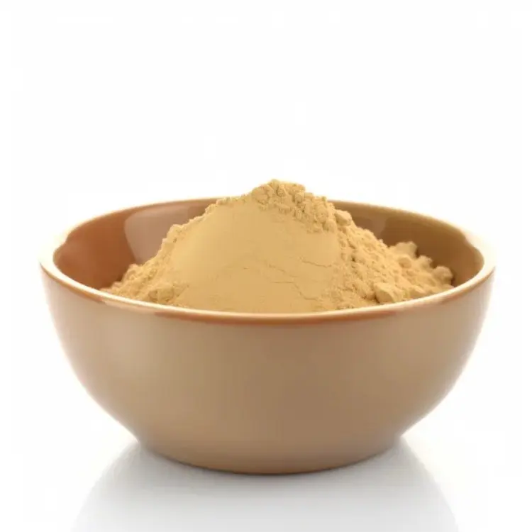 Bulk Food Supplement Diastase 2000u/g Alpha Amylase Enzyme Powder