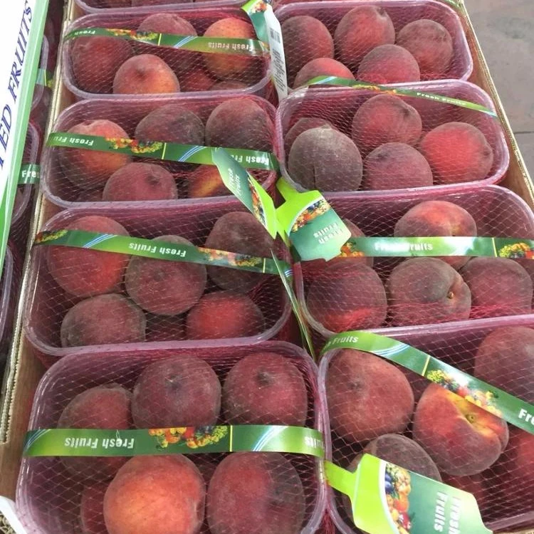 
Farm price greece high quality class one juicy yellow fresh peaches 