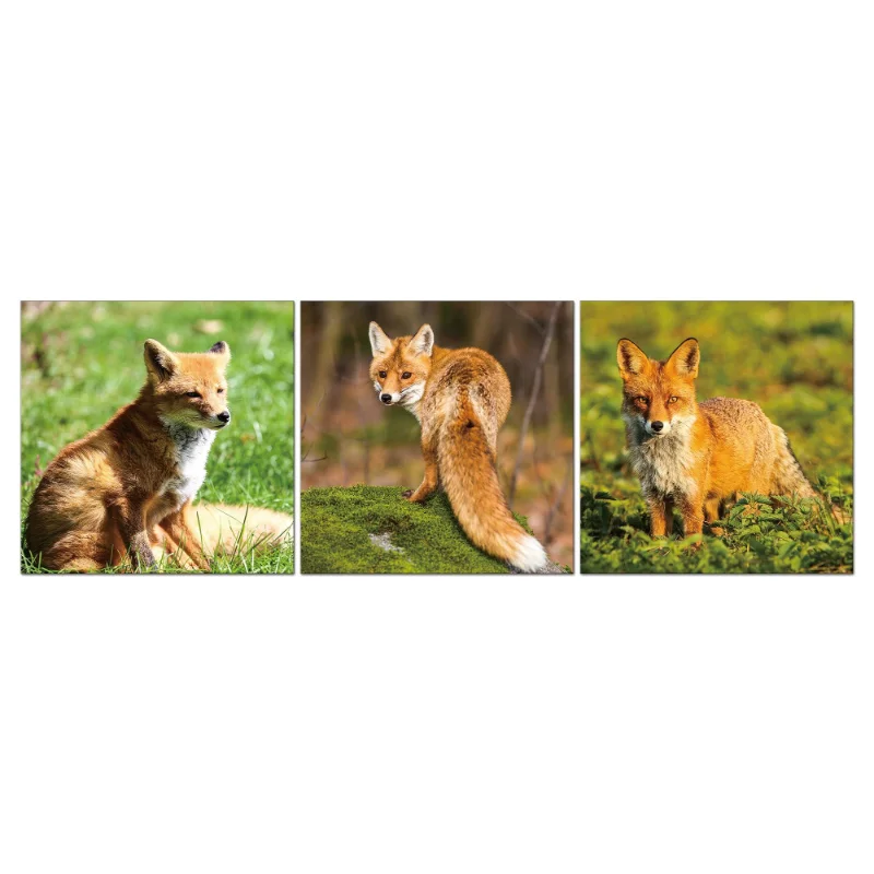 Abstract Cat Wild Animal Acrylic Wall Art Canvas Decorative Painting Digital Painting Photo Series Living Room Bed Room