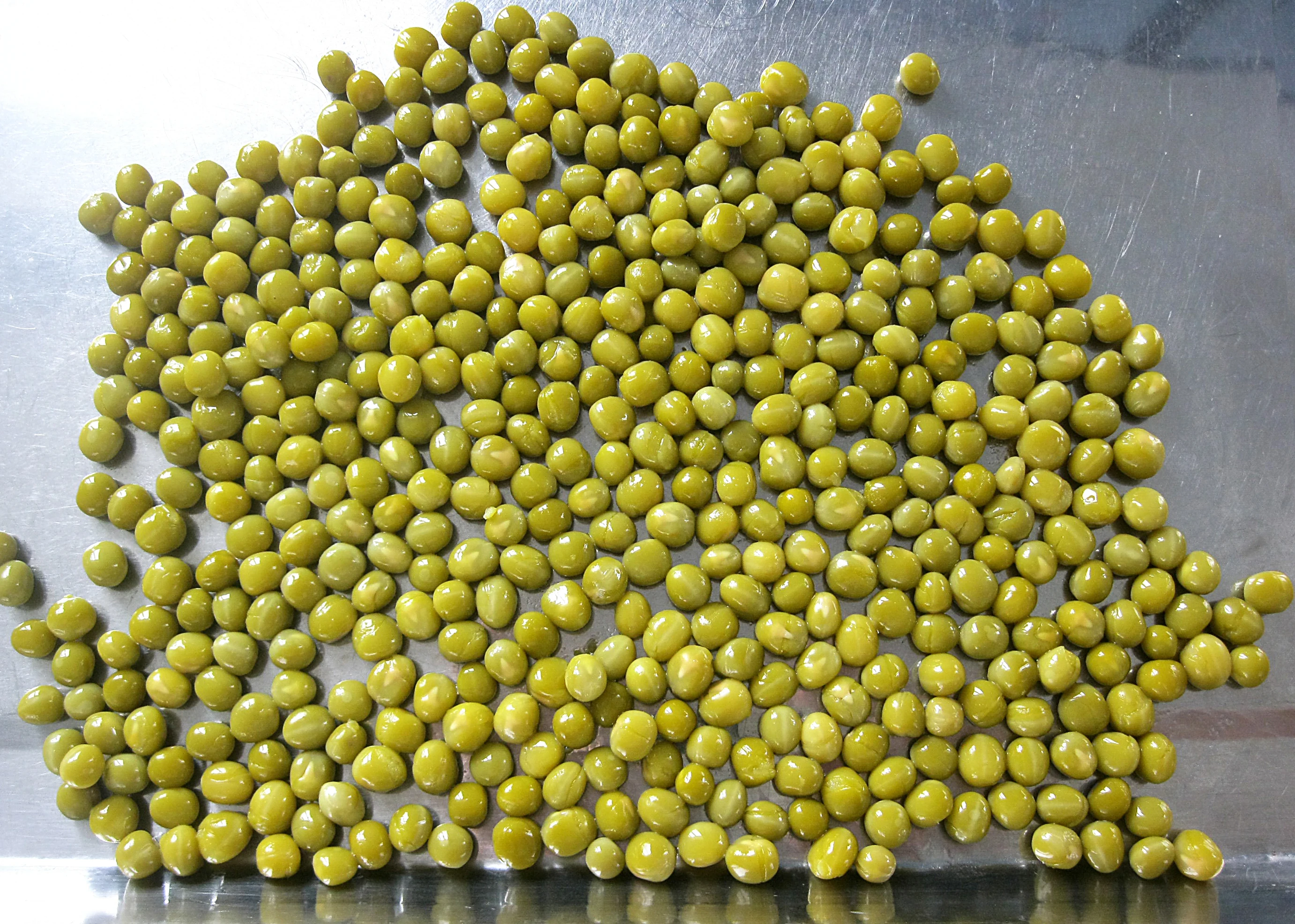 
New corp canned green peas in factory price 
