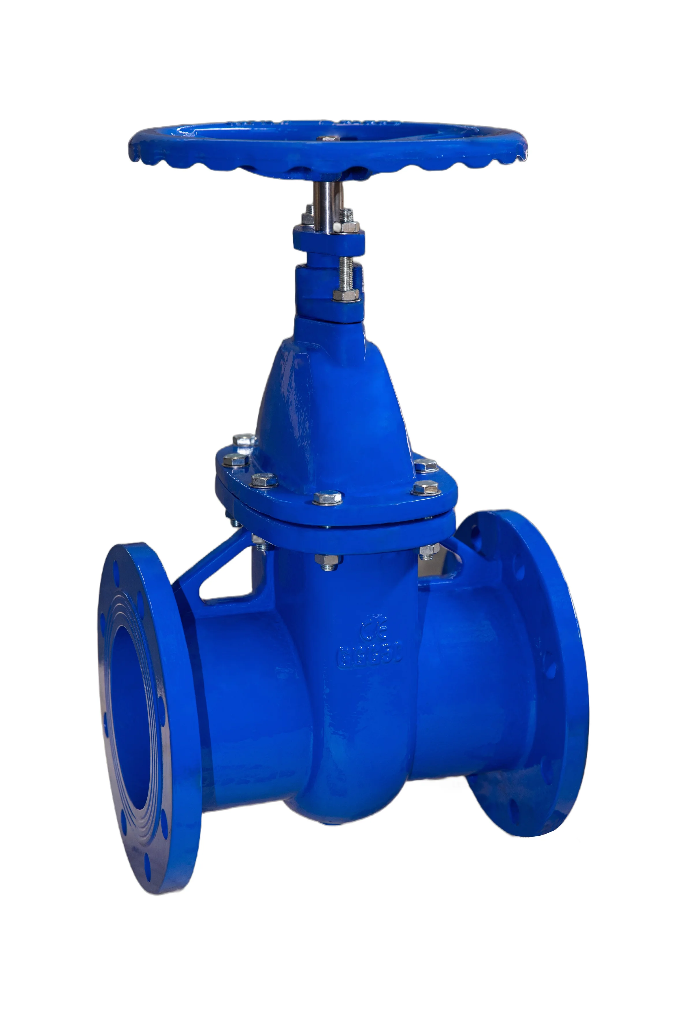 DIN PN10/16 Foot Valve Cast Iron&Ductile Iron Body&Screen