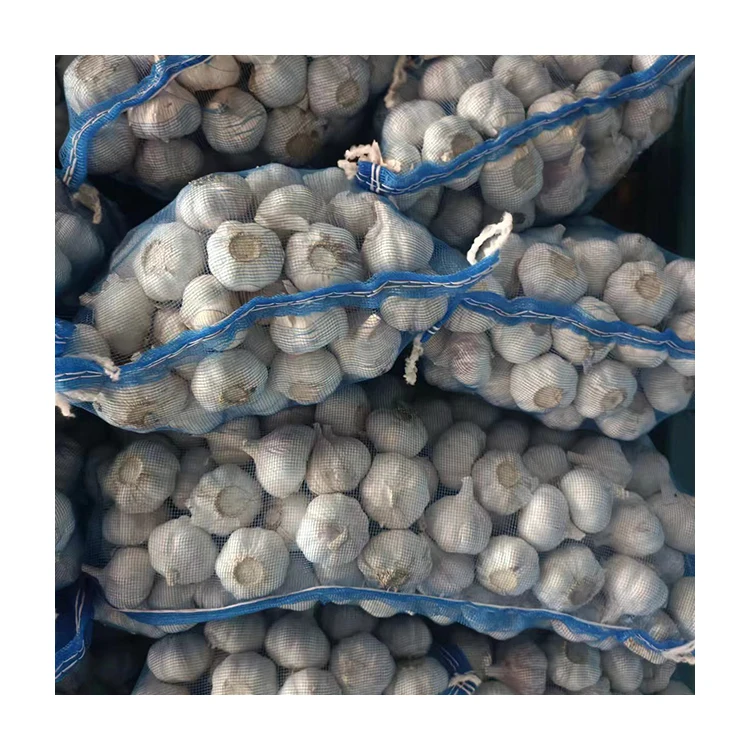 High quality 3.5cm 4.5cm 5.0cm 5.5cm 6.0cm Pure White Shandong Belgium nature grown garlic for sale