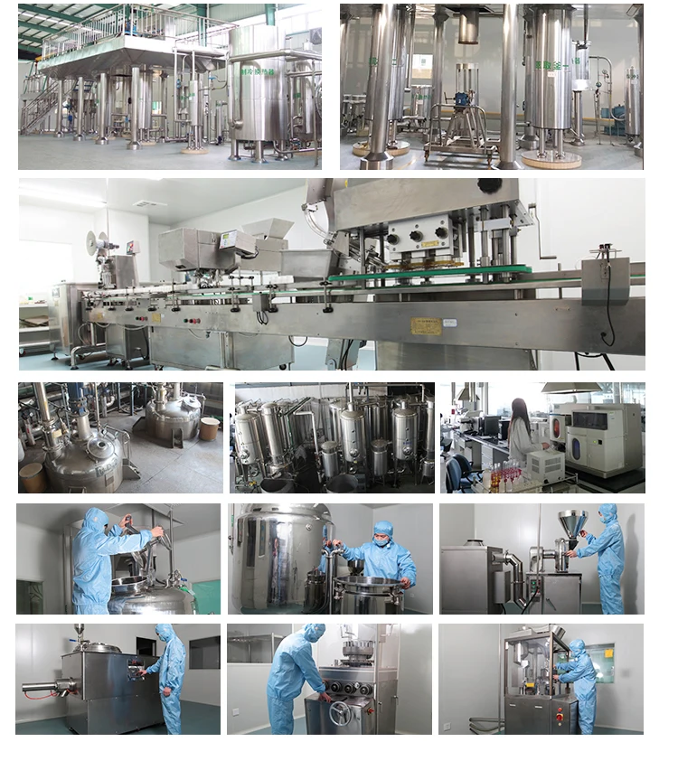 Hot On Sale Free Shipping Ganoderma Gano Mushroom Coffee