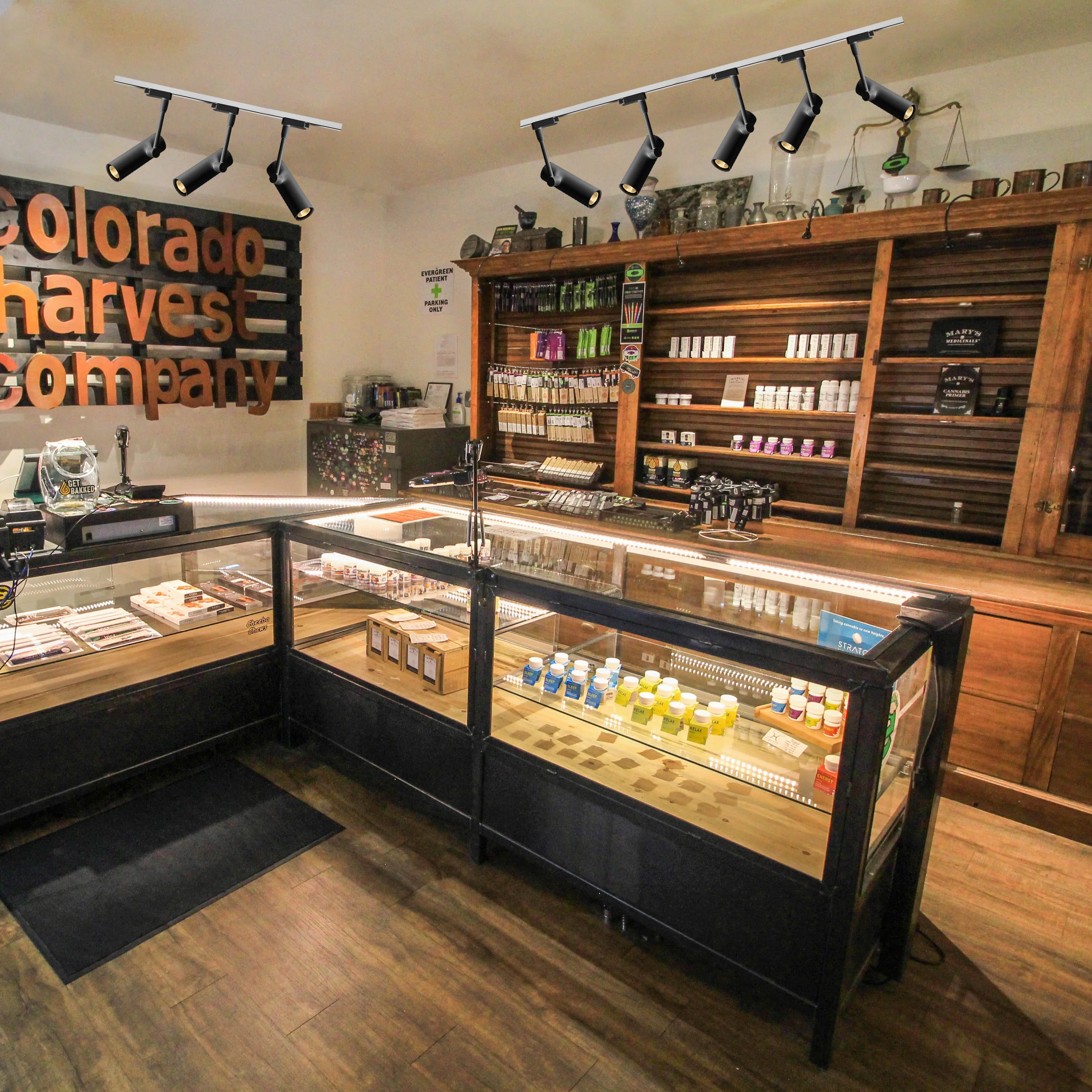 AC220V 10W 20W 30W LED COB Color Adjustable Track Light Spotlights Downlight Lights Spot Unique Design Easy to Install