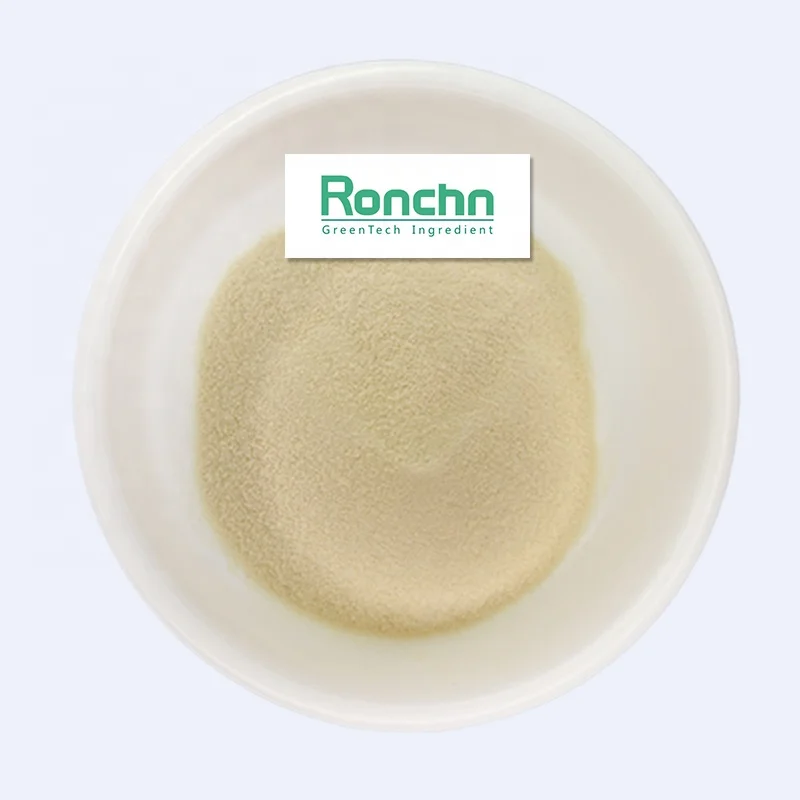 High Quality Food Grade CAS 93384-22-6 Wheat Gluten Powder 85% Wheat Gluten