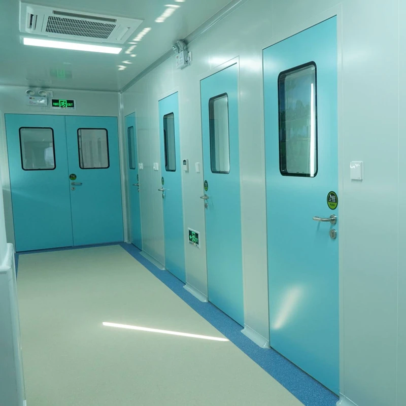 Pharmaceutical Factory Steel Door Airtight Swing Open Clean Room Doors