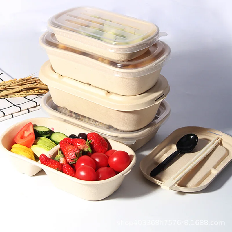 K&B ODM/OEM catering office microwave safe 2 compartments take away disposable bento lunch box