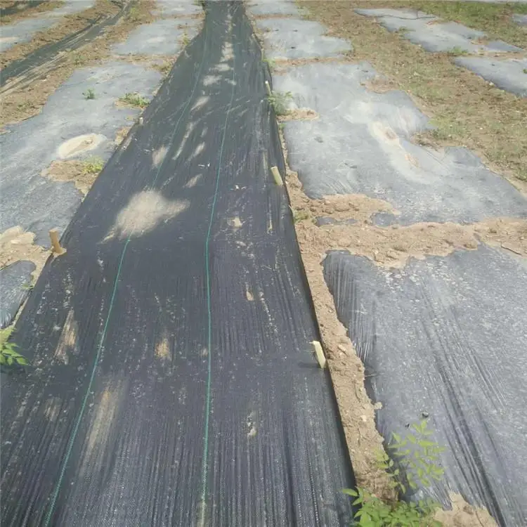 Factory Supply Vegetable Garden Ground Cover Weed Barrier Control