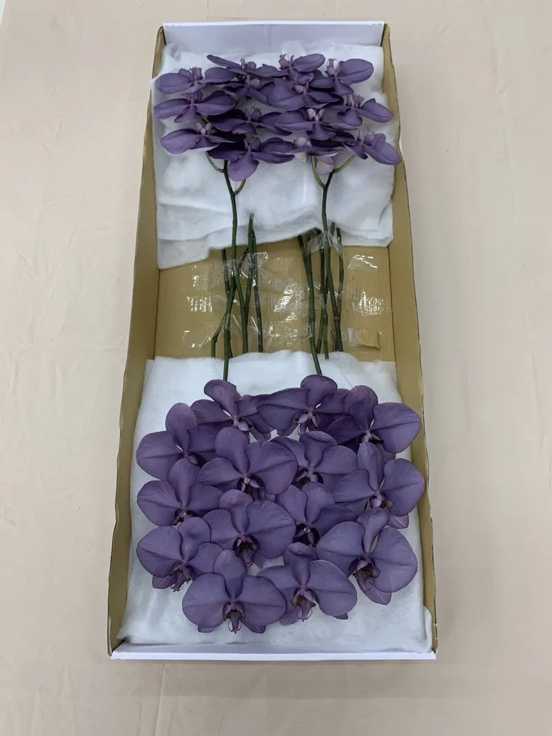 Royal Purple Orchid Butterfly Bouquet Wedding Decoration Fresh Cut