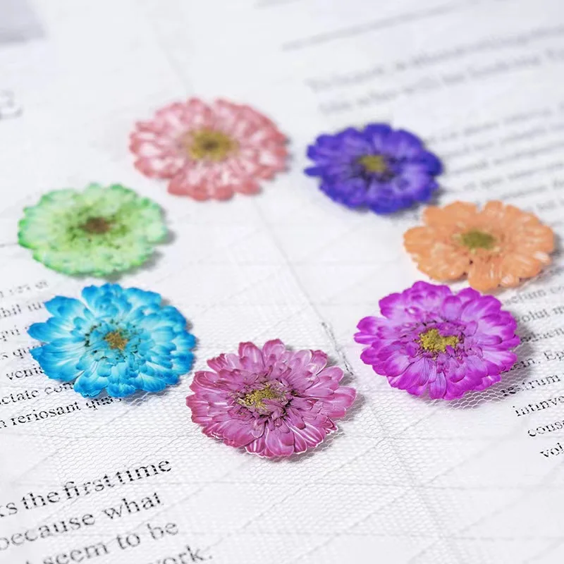 MNR2134 dyed dried Chamomile flower for DIY flower ornament handcraft