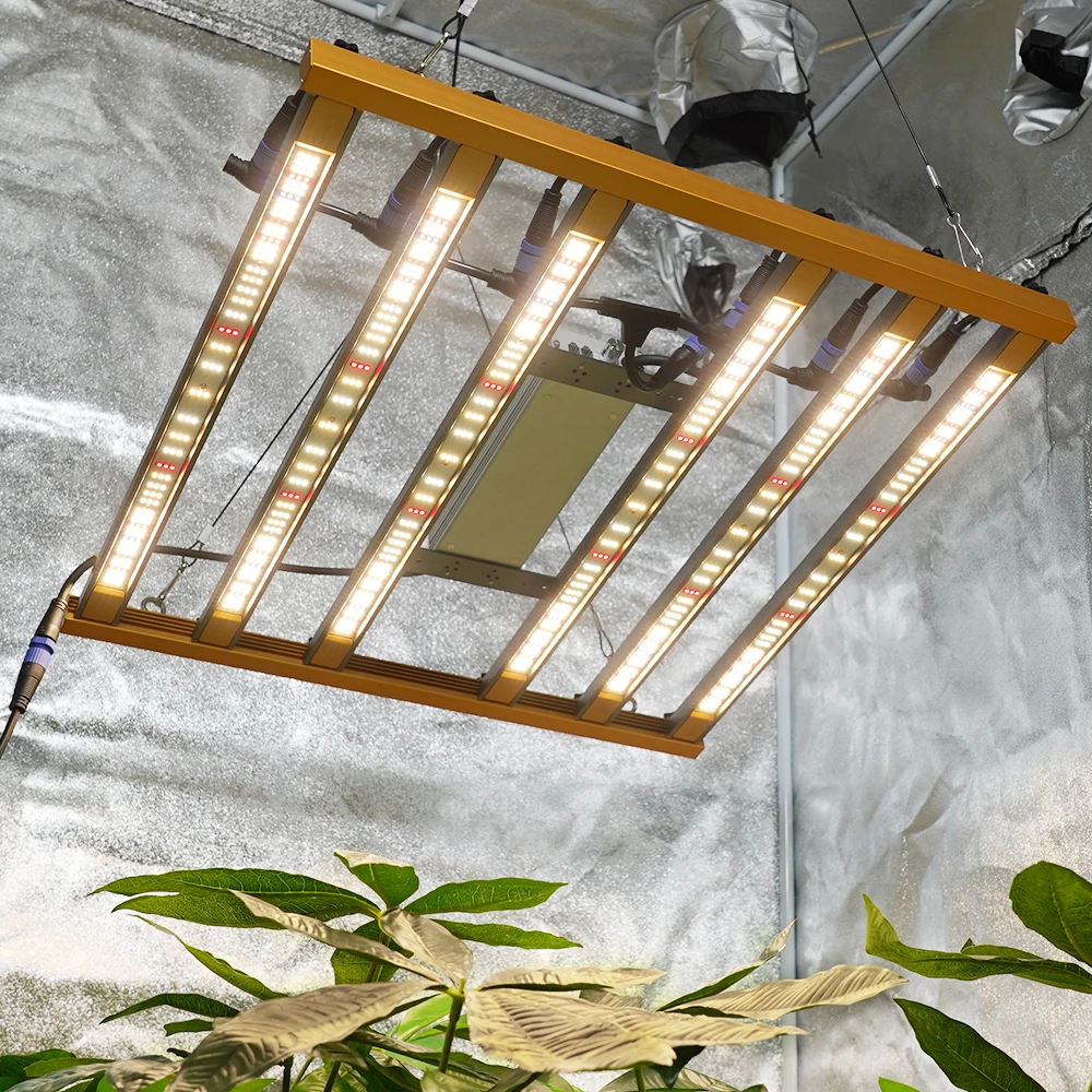 Meijiu 320w Led Grow Lights Lm301b Indoor Growing Lights For Aquaponics Growing System Hydroponics Grow Light Kit