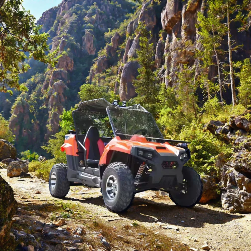 Aotong Motor Factory Direct UTV CVT Transmission Buggy 200CC 250CC 300CC UTV For Adults