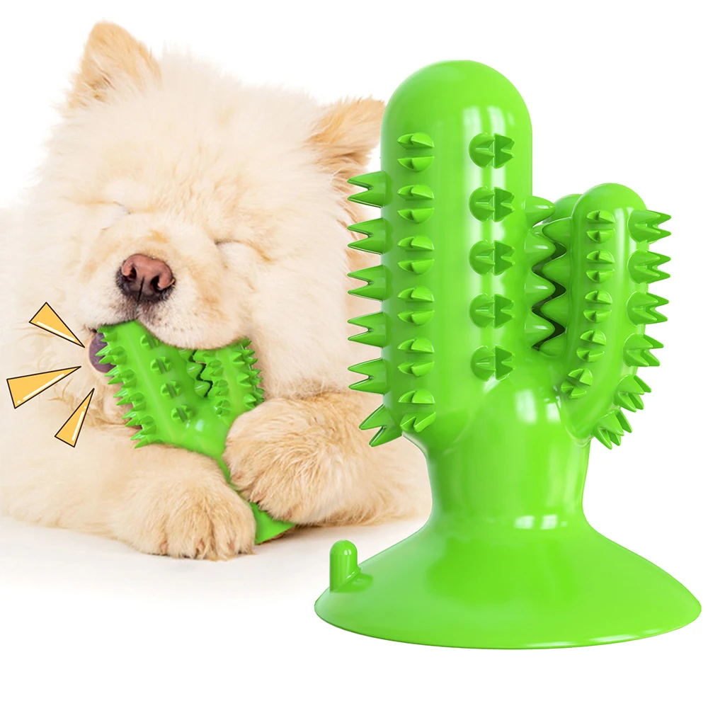 Wholesale eco-friendly natural latex cactus shaped squeaky chew pet dog toy