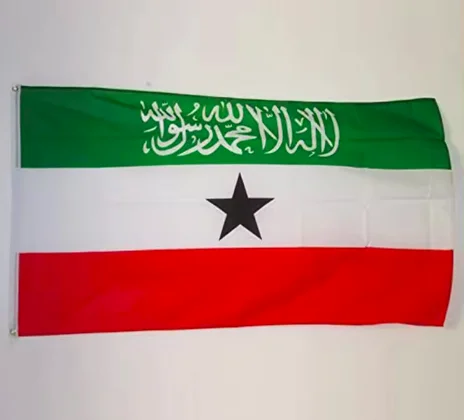 Custom 3*5ft outdoor hanging Somaliland flag