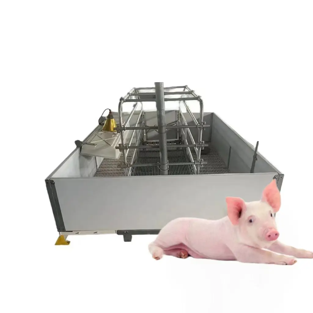 High Quality Pig Farrowing Crate Plastic and Steel Animal Cages for Farming New and Used Condition