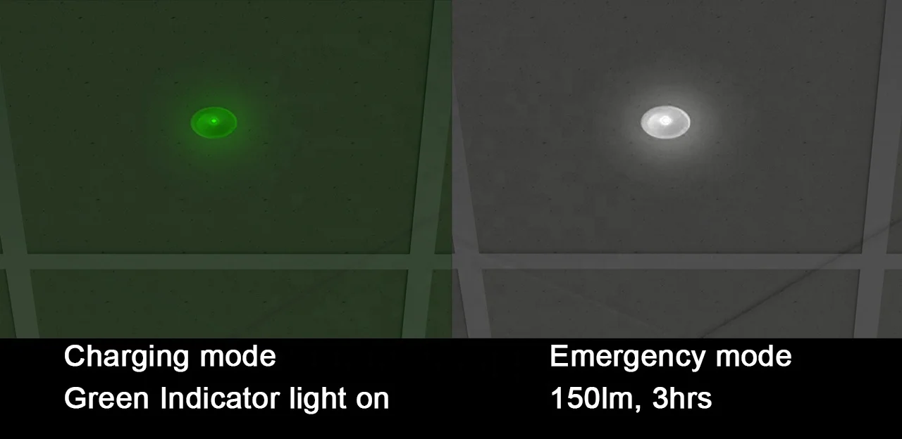 OT-ESP-1N 1W non-maintained emergency spot light