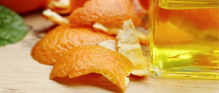 Wholesale Best Selling Dried Orange Peel Extract