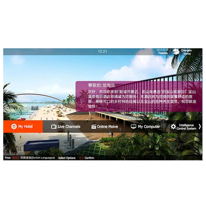 Поддержка от D1 до 1080P full HD TV OEM японский hd IPTV подписка для отеля vod systrem