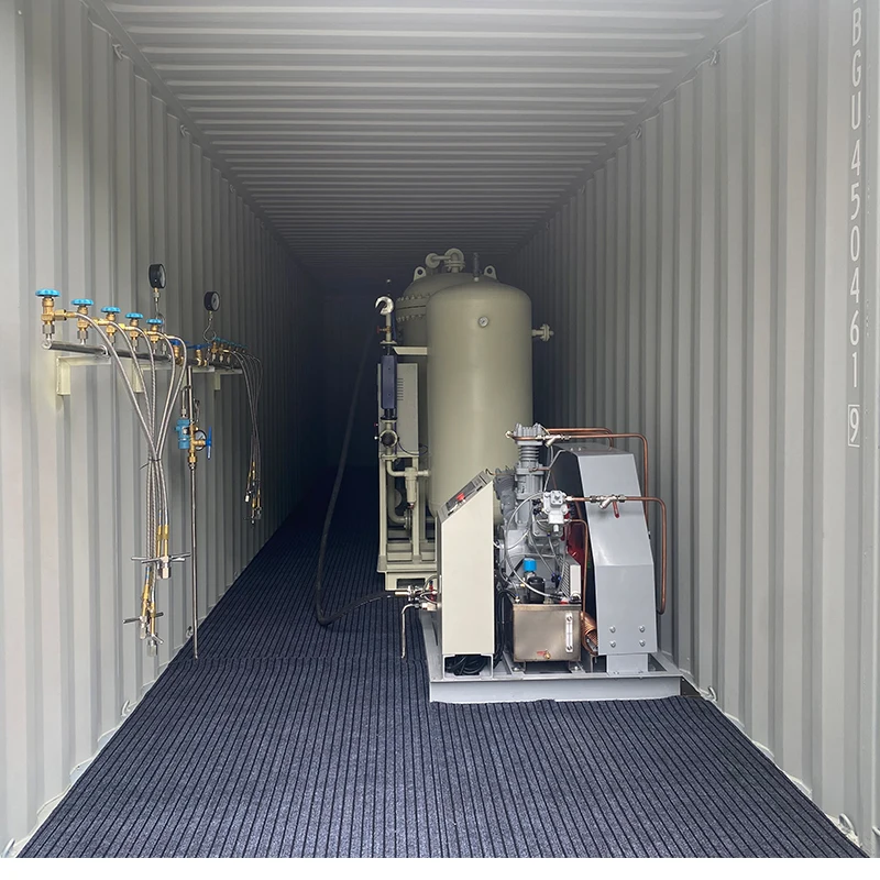 2022 NEWTEK oxigen generator oxygen gas plant high performance made in china