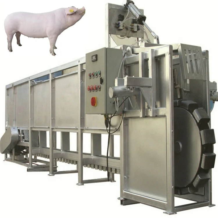 950 Heads Pig Abattoir Equipment Slaughtering Machine Line For Pig Slaughterhouse