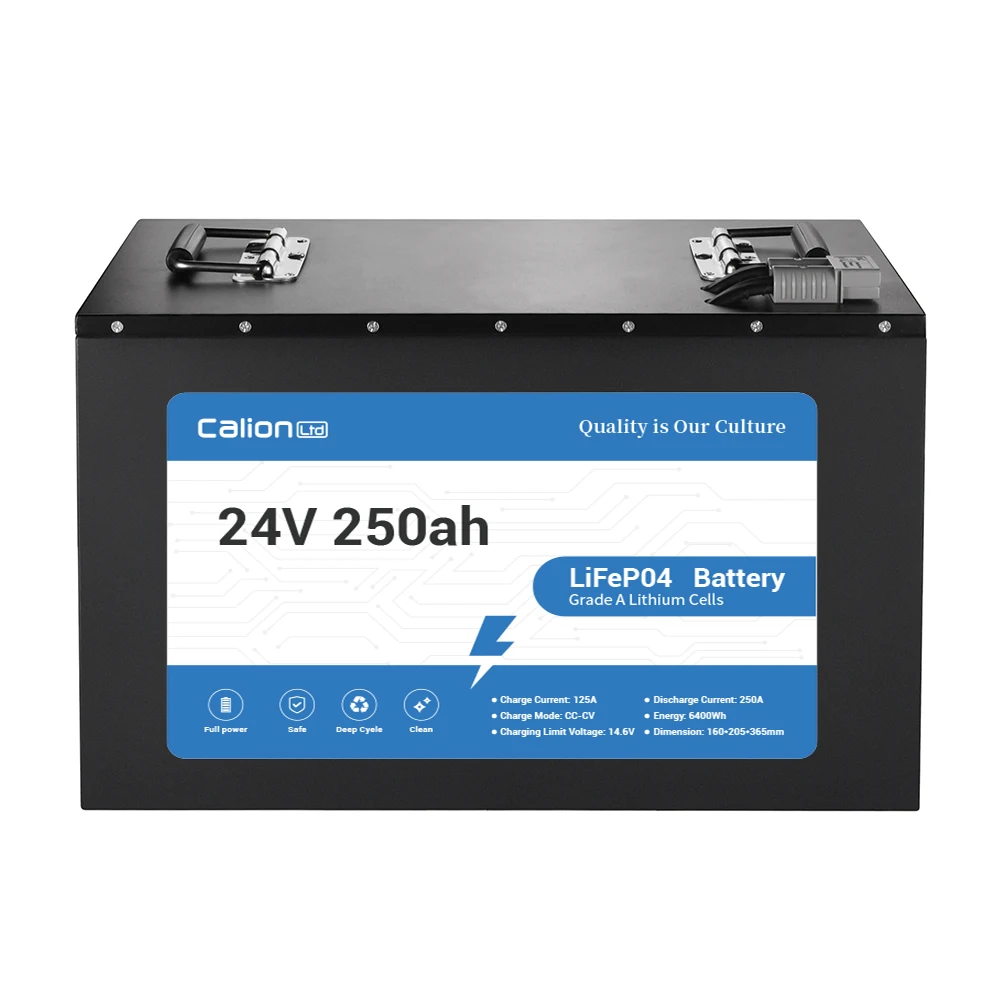 CALION Top-Selling LiFePO4 Battery Packs 100Ah, 120Ah, 200Ah, 300Ah - Customizable for OEM Lithium Iron Phosphoric Acid Battery
