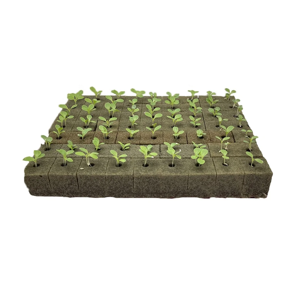 hydroponic culture hydroponic sponge plant cubes soilless agriculture growing mediums