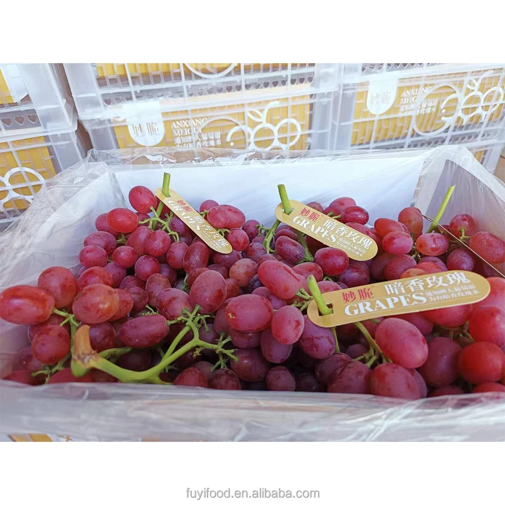 Fresh High Quality Export Supplier Fresh Red Globe Grapes