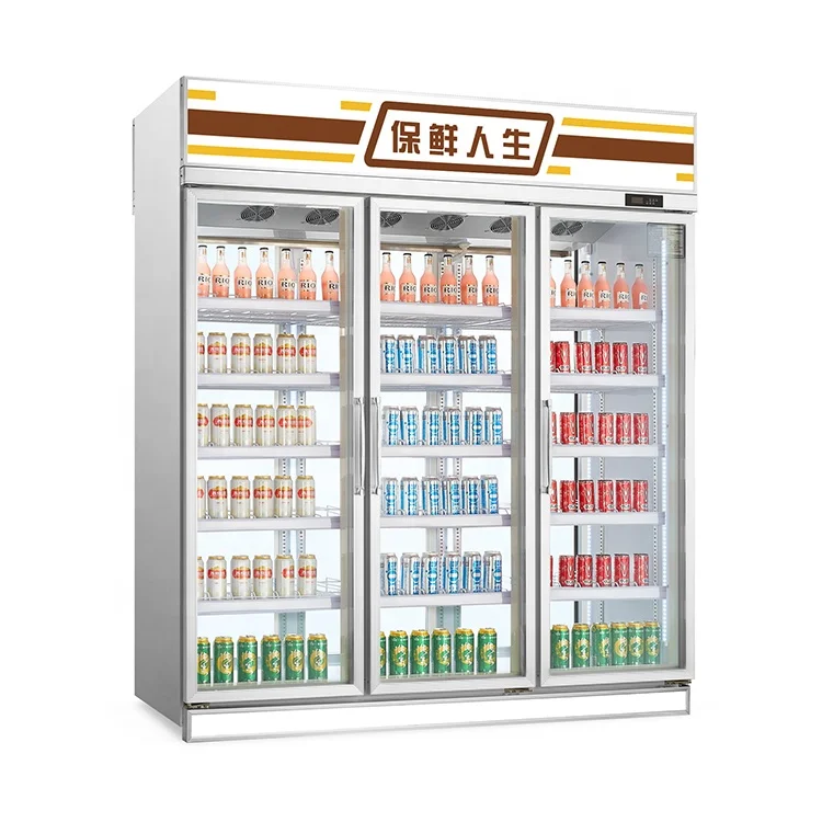 Free Standing Refrigerated Showcase Commercial Freezer Glass Door Upright Display Fridges for Beverage