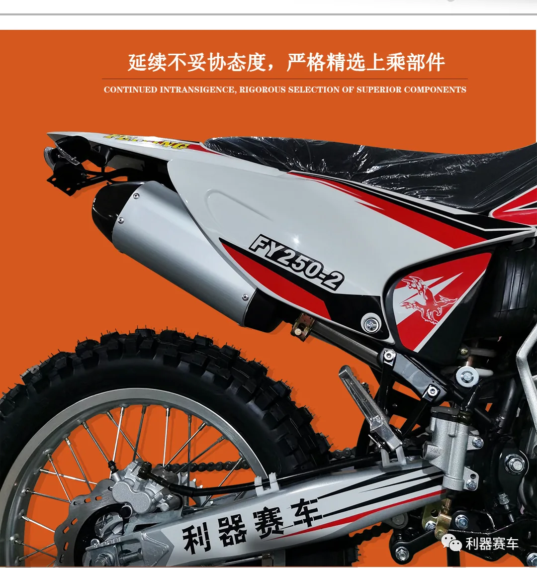 FY250-2 Мотоциклетный Двигатель CB250 с перевернутой вилкой демпфирующий горный лес дорожный