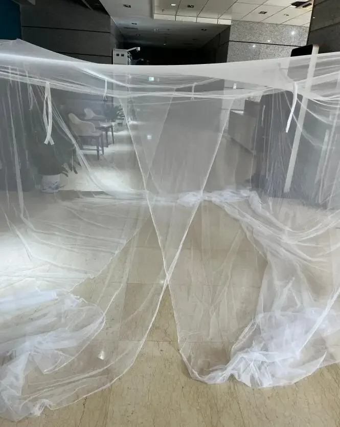 Widely Implemented mosquito net for bed philippines mosquito net