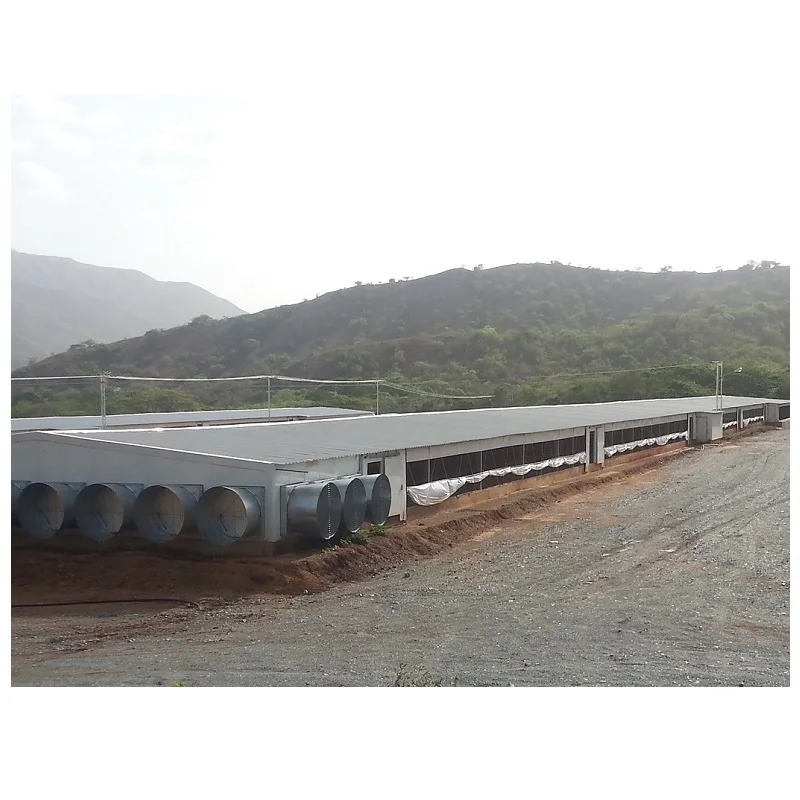 Дешевый новый дизайн, легкая сборная стальная конструкция, куриный дом, птицеферма, здание для продажи, сборные