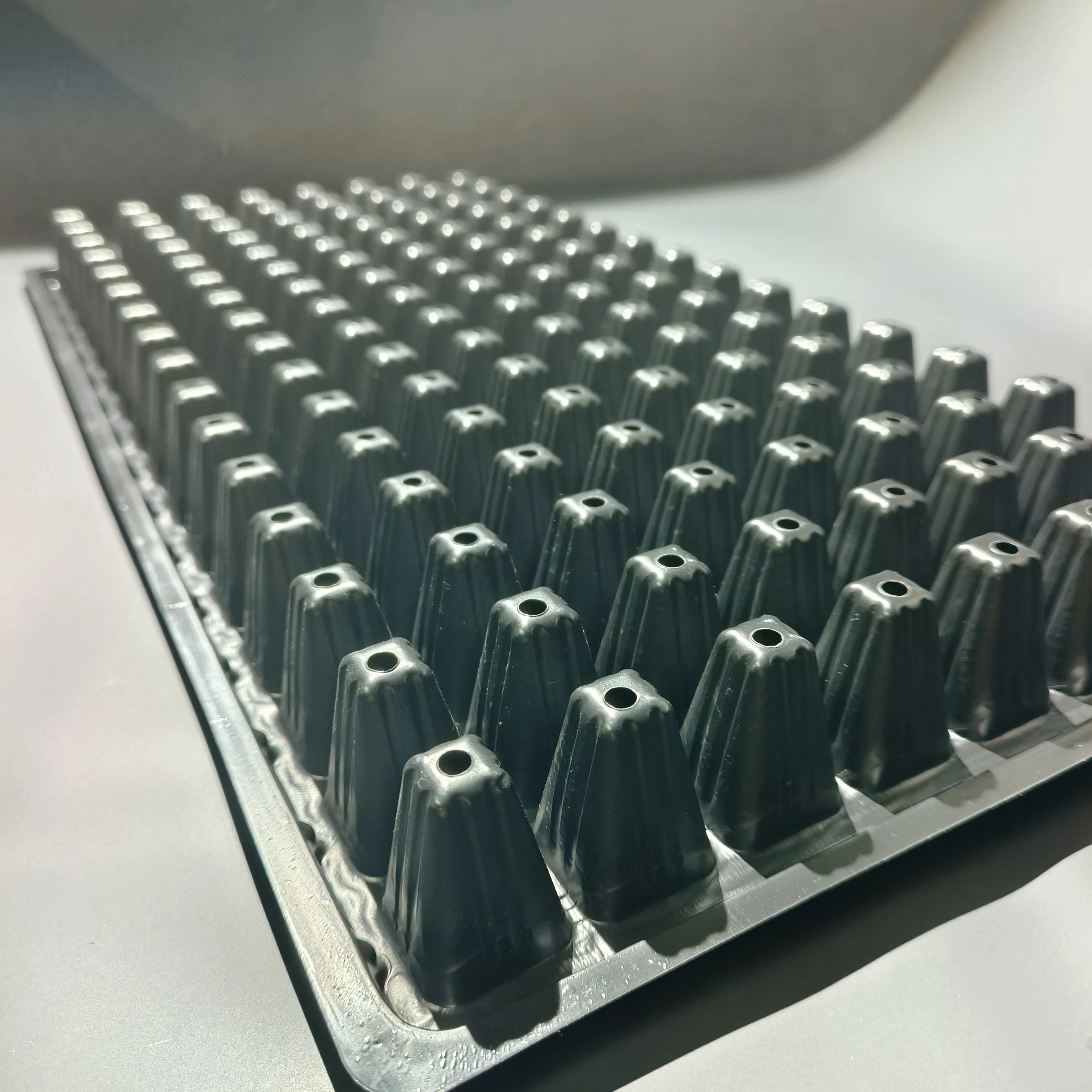 Chinese factory seedling tray 200 cell vegetable seeding for agricultural