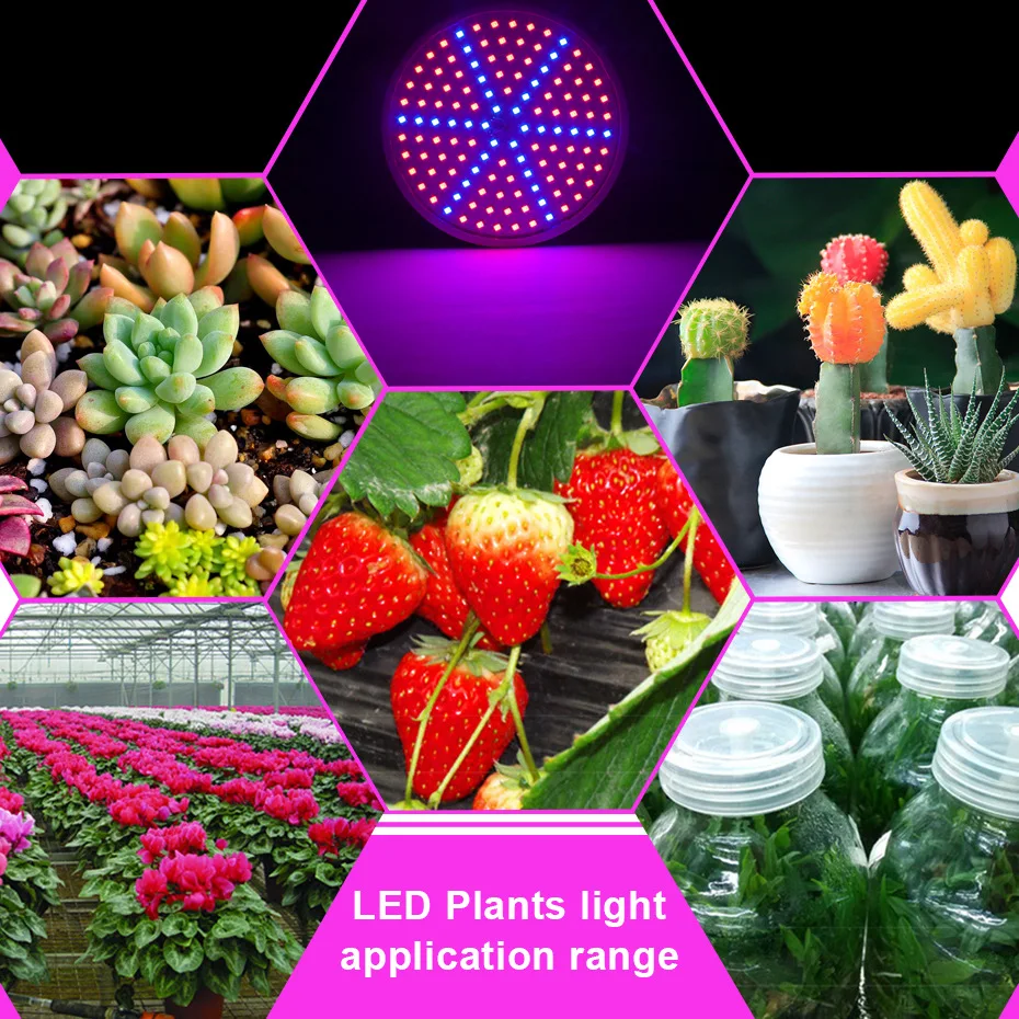 Led Grow Lights Bulb Led Plant Lamp For Greenhouse Hydroponics Plant Seedling Growing