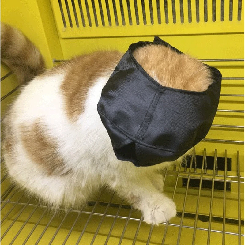 cat eye mask (3).jpg