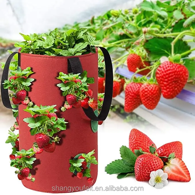 
Strawberry Planter Bags For Growing Potatoes Outdoor Vertical Garden Hanging Open Vegetable Planting Grow Bag 