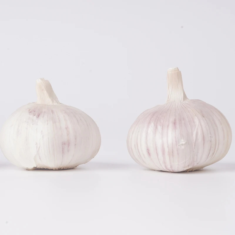 High Quality Fresh Normal White Galic/ Purple Garlic and Red Garlic Bawang putih